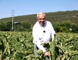 Nilüfer Belediyesi’nden Tarımsal Kalkınma ve Kooperatifçilik Çalıştayı