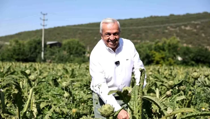 Nilüfer Belediyesi’nden Tarımsal Kalkınma ve Kooperatifçilik Çalıştayı