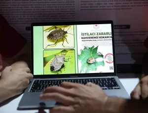 Öğrencilerden Kokarca Yazılımı