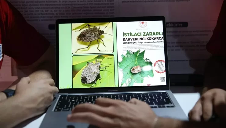 Öğrencilerden Kokarca Yazılımı