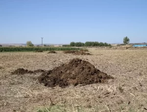 Organik Gübre Kullanımının Faydaları