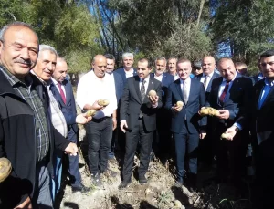 Orta’da Patates Hasadı Yapıldı