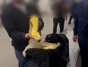 Özbekistan’da yolcunun el bagajından 3 metrelik piton çıktı