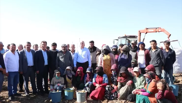 Patates ve Soğan Sosyal Yardıma Dahil Olmalı