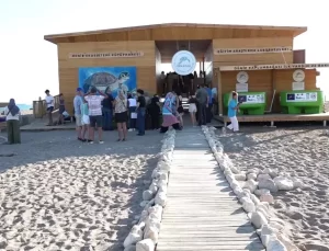 Rehabilitasyon Süreci Tamamlanan Deniz Kaplumbağaları Doğaya Salındı