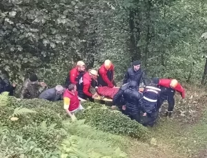 Rize’de Uçuruma Yuvarlanan Kamyonet Sürücüsü Yaralandı