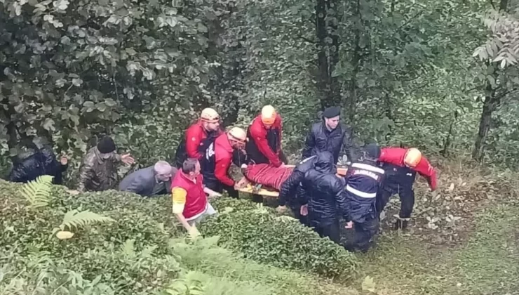 Rize’de Uçuruma Yuvarlanan Kamyonet Sürücüsü Yaralandı