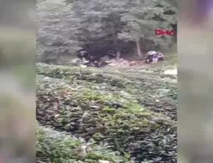 Rize’de Uçuruma Yuvarlanan Kamyonette Kıbrıs Gazisi Hayatını Kaybetti