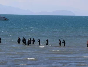 Rojin Kabaiş İçin Arama Çalışmaları Devam Ediyor