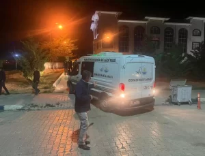 Rojin Kabaiş’in Cenazesi Teslim Edildi