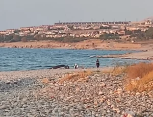 Rojin Kabaiş’in Ölümü: Numuneler İstanbul’a Gönderildi