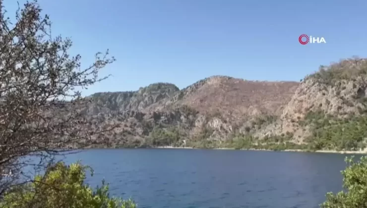 Şahan Gökbakar’a Yargılama Süreci Başlatıldı