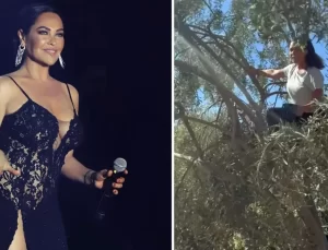 Sahte markalara da gönderme yaptı, Hülya Avşar Ayvalık’ta zeytin hasadında