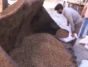 Şanlıurfa’da Suriye’den gelen tırda 79 ton ceviz içi ele geçirildi