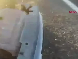 Şanlıurfa’da Takla Atan Araçta 5 Yaralı