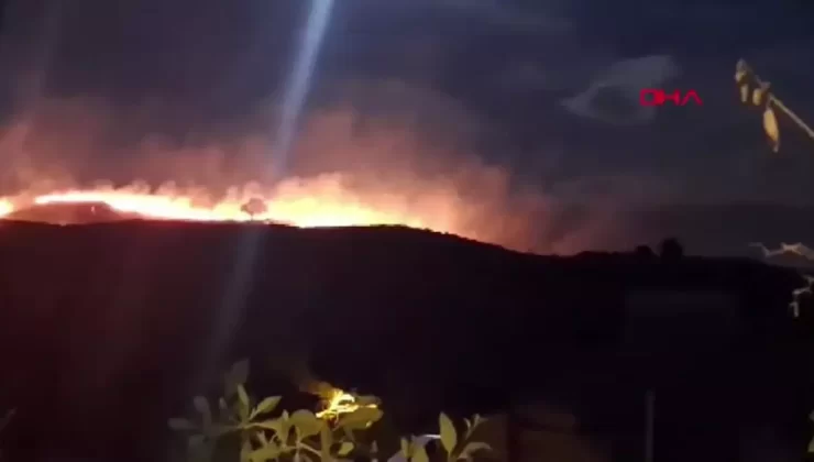 Seferihisar’da Orman Yangını