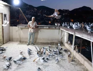 Serdal Tecimen’in Güvercin Tutkusu