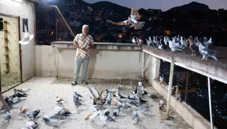 Serdal Tecimen’in Güvercin Tutkusu