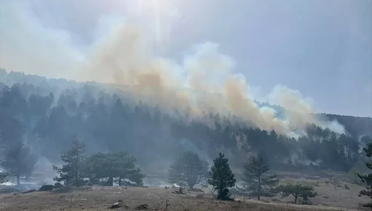 Sındırgı’da Orman Yangınına Müdahale Başlatıldı