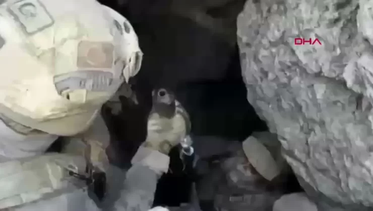 Şırnak’ta GÜRZ-18 Operasyonu Başarıyla Tamamlandı