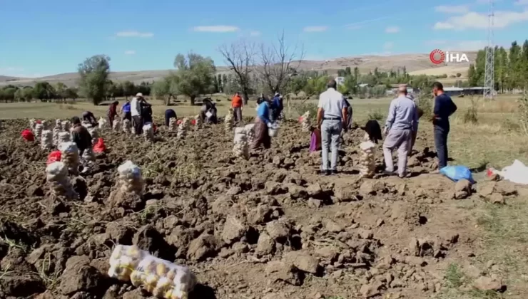 Sivaslı Üretici Fahiş Fiyatları Kesti