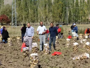 Sivaslı üretici patatesi perakende satıyor