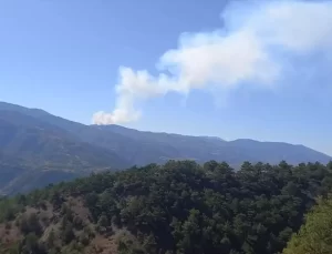Sivas’ta Orman Yangınına Müdahele Başladı