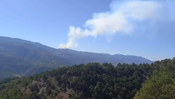 Sivas’ta Orman Yangınına Müdahele Başladı