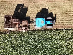 Sivas’ta Tarımda Rekor Hasat