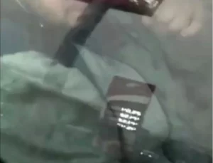 Sokak Köpeğine İstismar İddiası