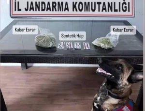 Söke’de Otobüste Uyuşturucu Yakalandı