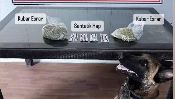 Söke’de Otobüste Uyuşturucu Yakalandı