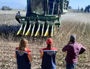 Söke’de Pamuk Hasat Makineleri Kontrol Ediliyor