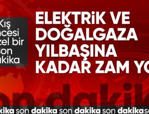 SON DAKİKA! Alparslan Bayraktar: Yılbaşına kadar elektriğe ve doğalgaza zam yok
