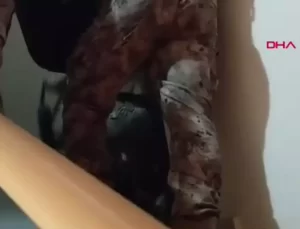 Sosyal Medya Dolandırıcılığı: 2,5 Milyar Lira!