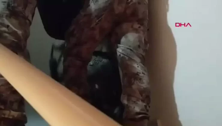 Sosyal Medya Dolandırıcılığı: 2,5 Milyar Lira!