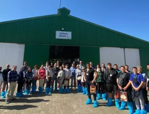 Sürdürülebilir Hayvancılık Projesi Bursa’da İncelendi