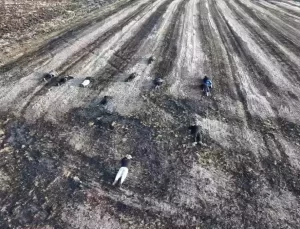 Tekirdağ’da 11 Kaçak Göçmen Yakalandı