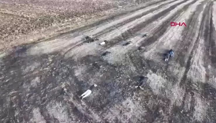 Tekirdağ’da Kaçak Göçmen Operasyonu