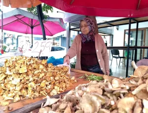 Tirmit Mantarına Talep Artıyor