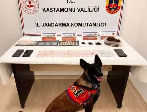 Tosya’da Uyuşturucu Operasyonu: Bir Tutuklama