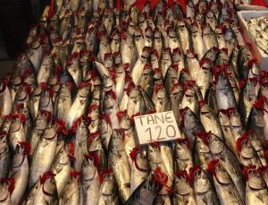 Trabzon’da hava şartları palamudun fiyatını artırdı