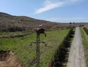 TREDAŞ’tan Doğa Dostu Projeler