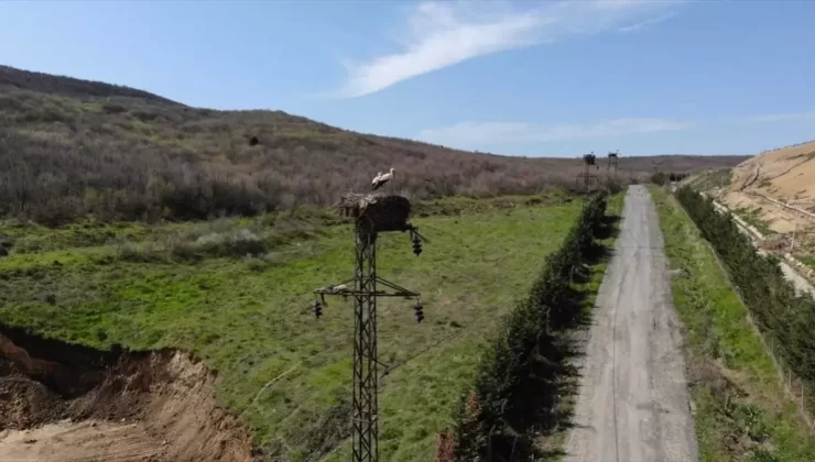 TREDAŞ’tan Doğa Dostu Projeler