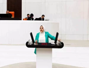 Tüketiciyi Koruyamayan Yasa Eleştirisi