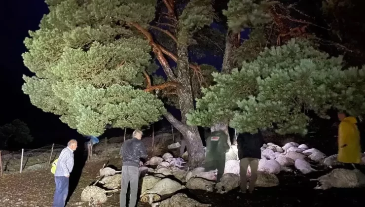 Türkiye 2024’te Sıcaklık Rekoru Kırdı