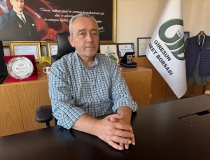 Türkiye Fındık İhracatında Rekor Gelir