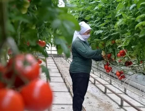Türkiye Jeotermal Potansiyelini Artırmak İstiyor