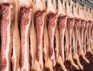Türkiye Sudan’dan domuz eti mi ithal ediyor? Beklenen açıklama geldi