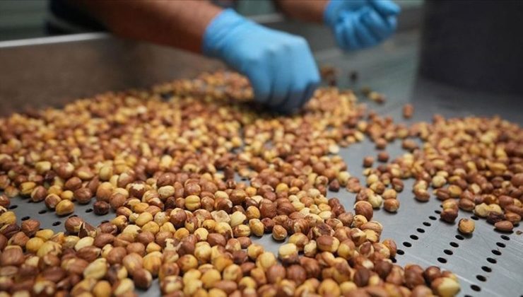 Türkiye yeni sezonun ilk ayında yaklaşık 197,6 milyon dolarlık fındık ihraç etti
